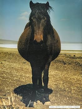 Chinese live: 斎門富士男写真集 | 斎門 富士男 |本 | 通販 | Amazon